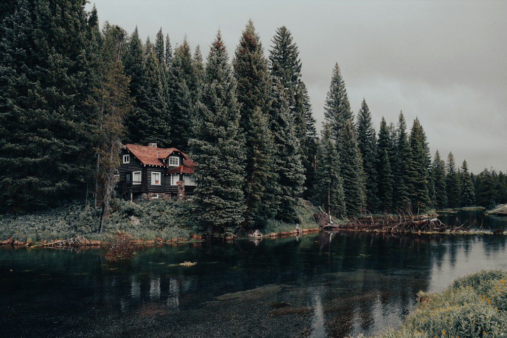 A timber cabin among evergreen trees beside still river water.