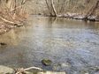 Lead image for 53 wooded acres on Pike Run, Coal Center