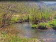 Lead image for 85.8 acres along Lehman Hollow Run, Ulysses, Potter County PA