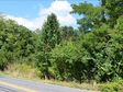 Lead image for 2.24 wooded acres on Reightown Road, Tyrone